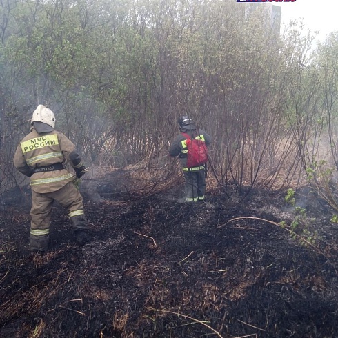 13 мая оперативному дежурному ЕДДС муниципального образования "город Ульяновск" поступило сообщение об оказании помощи в ликвидации возгорания