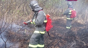 13 мая оперативному дежурному ЕДДС муниципального образования "город Ульяновск" поступило сообщение об оказании помощи в ликвидации возгорания
